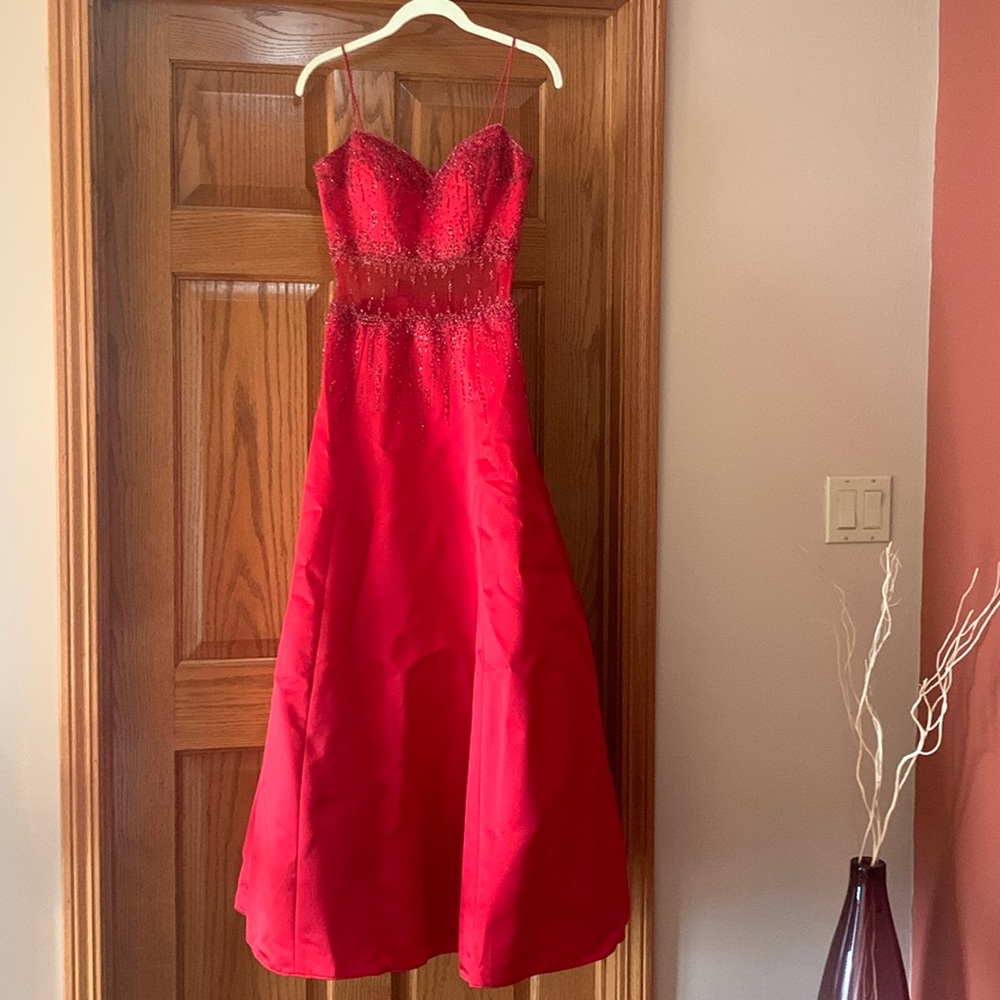 Babettes prom dress with Shaw and purse.